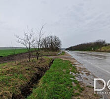 Земля сельскохозяйственного назначения, 26,7 соток, Бачой