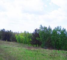 продаж ділянка під житлову забудову Обухівський, Васильків, 12000 $