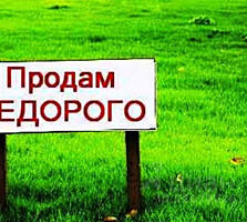 Торг уместен, срочно 15 сток земли идеально под строительство