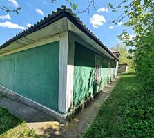 Casa 100 mp cerlina