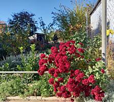 Полдома, район 1 Линии