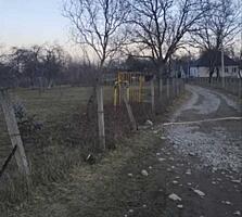 продаж ділянка сільськогосподарського призначення Хустський, Залом, 11