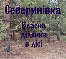 продаж ділянка під житлову забудову Бучанський, Северинівка, 143000 $