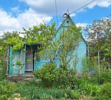 Продам летнюю дачу в пригороде Черноморска , Малая Долина , кооп "