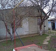 Продам дом в с.Выгода (Беляевский р-н, Одесская обл. 35 км от Одессы)