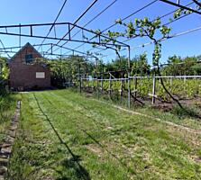 Два дачных участка по цене одного (Западный)