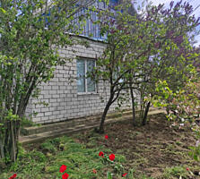 Продам дом в с.Труд-Куток (Одесская обл., Раздельнянский р-н, ...