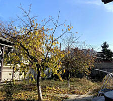 4 сот пер. Морской/Аркадия.