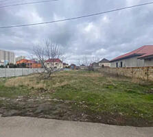 10 соток Царское село. Гос акт.