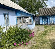 Продам дом с большим свинарником в Глином