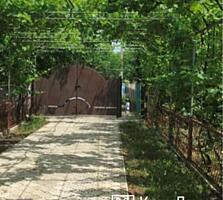 ДОМ. с. ГЛИНОЕ! Огромный гараж с высотой потолков 5М