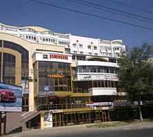 3-комнатная квартира, Ботаника.