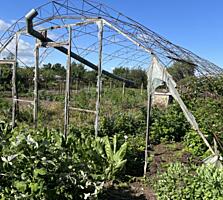 Парканы. Ул. Котовского! Продается участок! 10 сот! Автолялечка