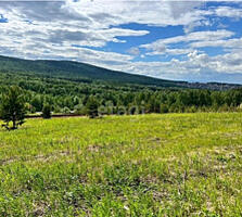 Куплю дачный участок в Ставченах без капитального дома