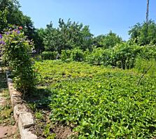 Полдома в тихом месте центра. Недорого.