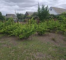 Продам участок