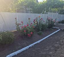 Продажа дома с участком в с. Владимировка