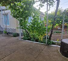 Продажа дома с участком в с. Владимировка