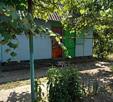 Продается дача на берегу Днестра!