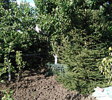 Продам участок 7 соток в районе Дачи Ковалевского