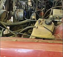 Продам бессмертную