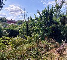 Дубовая Роща: продам участок в живописном районе в двух шагах от моря!