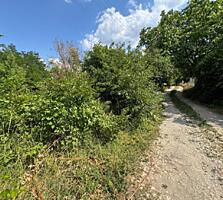 Teren pomicol (extravilan) cu o suprafață de 6 ari în Mun. Chisinau!