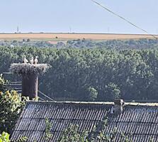 Продается дом в селе Спея