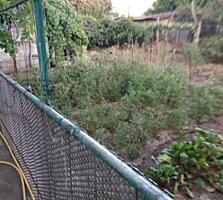 Дом, где хочется остаться!