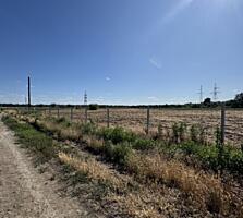 Большой участок возле реки