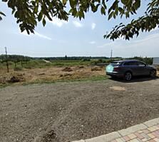 БОТАНИЧЕСКИЙ САД, район НИИ