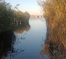 Куплю дачу в Сот Мирный или Энергетик