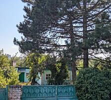 Капитальный Дом р-он Белые Казармы 11 соток Газ отопление