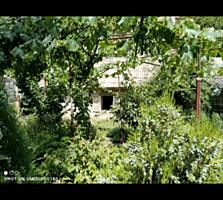 Продам дом под снос, или реставрацию.