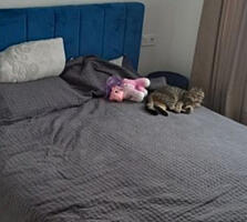 Евродвушка с ремонтом в 49 Жемчужине