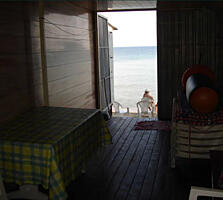 Продам дачу на берегу моря в Новой Дофиновке