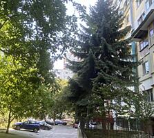 Apartament cu 4 camere, Ciocana.