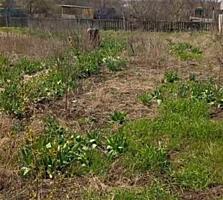 Дачный участок 6 соток в СОТ &quot;Ветеран&quot;