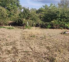 Продам дачу в карьере