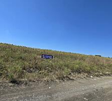 24 ari grădină Ghidighci