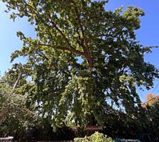 Продам участок 7 соток, 10 Фонтан, Окружная