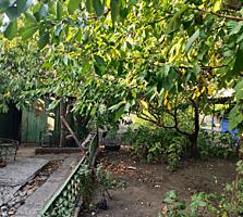 Продам дом в с.Ильинка.