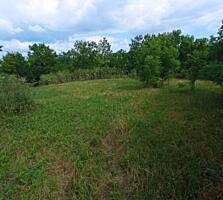 Котельцовый Дом 94м2, на участке 18сот