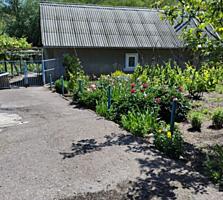 Дом на Гиске(Продам)