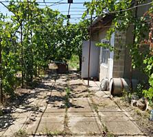 Продам дачу