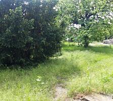 Участок на берегу моря с коммуникациями.