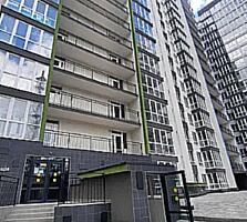 Акварель 3 евродвушка