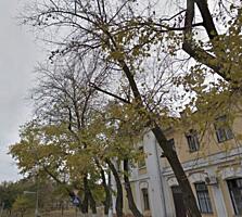 Предлагается к продаже просторная 2 комнатная квартира вблизи центра .