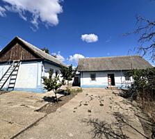 Дом в Малаештах, 15 км до центра Тирасполя. 45 соток земли