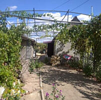 Продаётся хороший дом в Ангелиновке Раздельнянского района Одесской ..